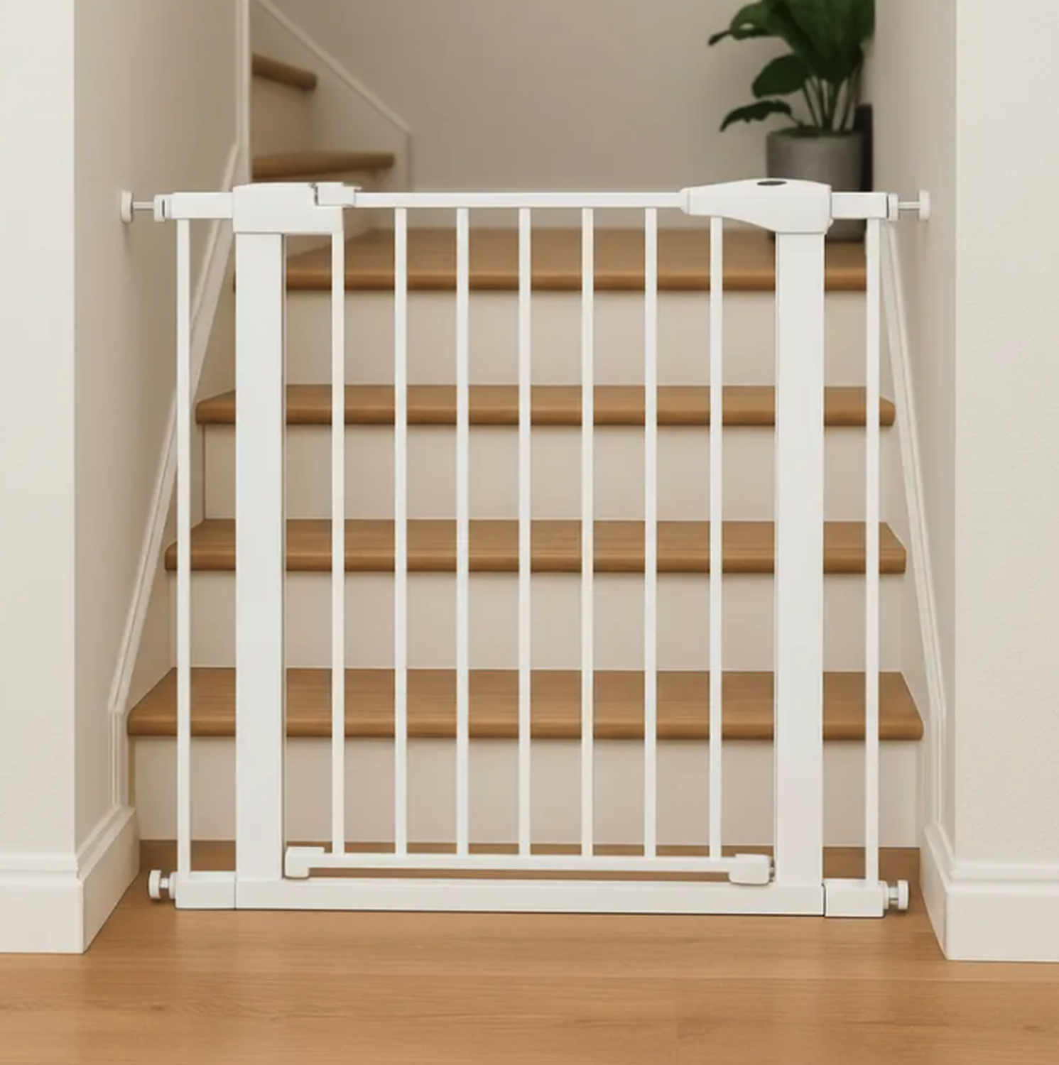 png_1500x1500_68514103